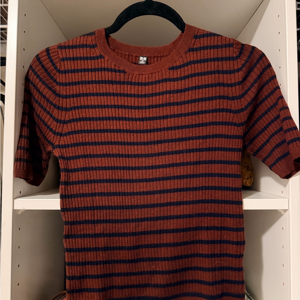 Uniqlo Rust and Navy Striped Sweater